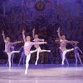 תיאטרון הבלט הלאומי של רוסיה בניהולו של ויאצ'סלב גורדייב - מפצח האגוזים
